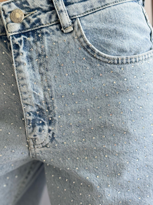 Low Rise Flared Sparkly Denim Jeans