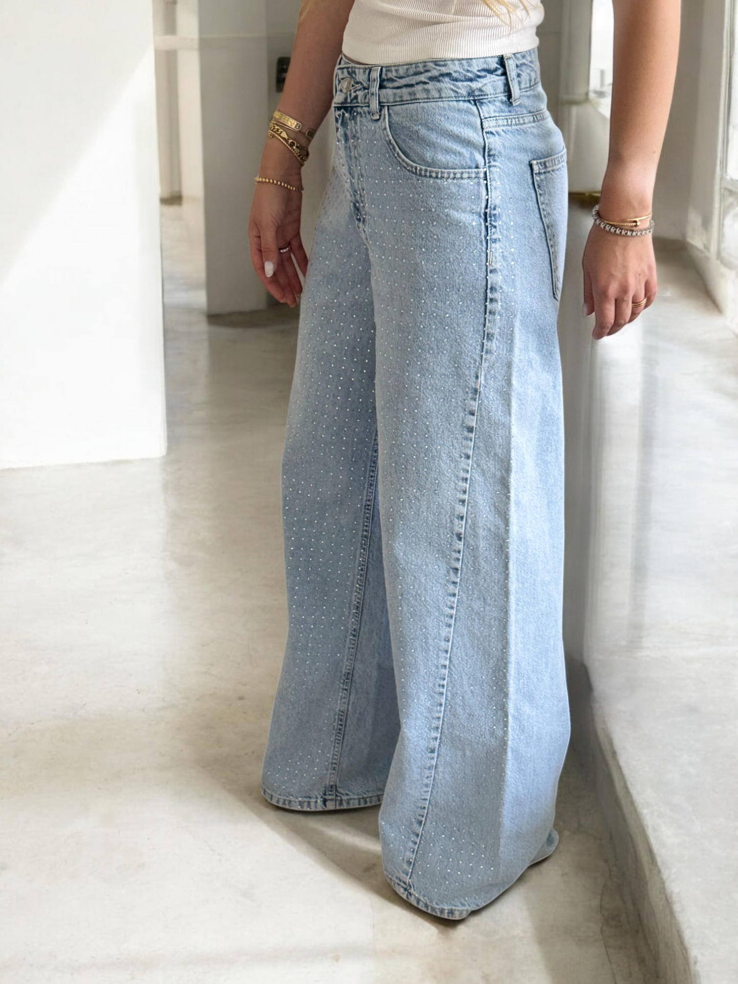 Low Rise Flared Sparkly Denim Jeans